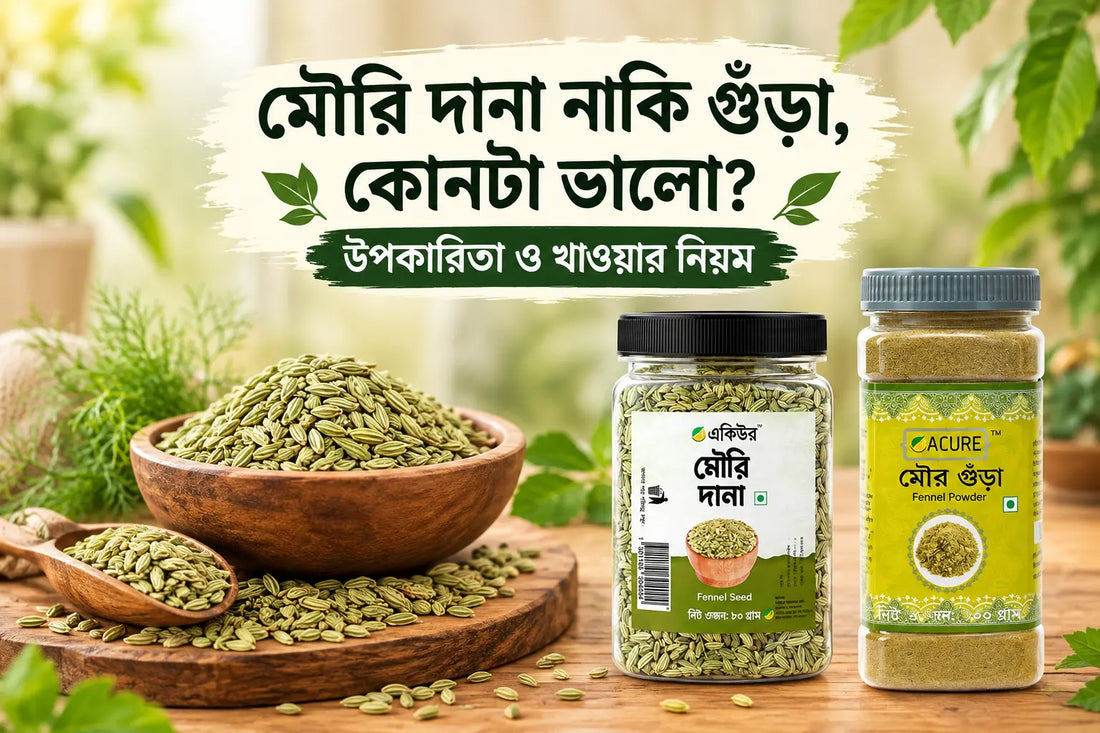মৌরি দানা ও মৌরি গুঁড়া (Fennel Seeds & Powder): উপকারিতা, অপকারিতা ও খাওয়ার নিয়ম