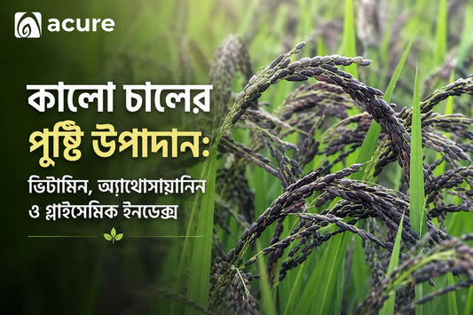 কালো চালের পুষ্টি উপাদান: ভিটামিন, অ্যান্থোসায়ানিন ও গ্লাইসেমিক ইনডেক্স
