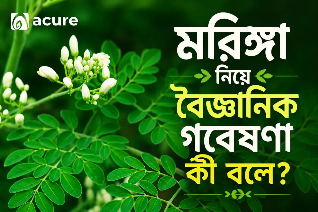 মরিঙ্গা নিয়ে বৈজ্ঞানিক গবেষণা কী বলে? | Moringa Scientific Research