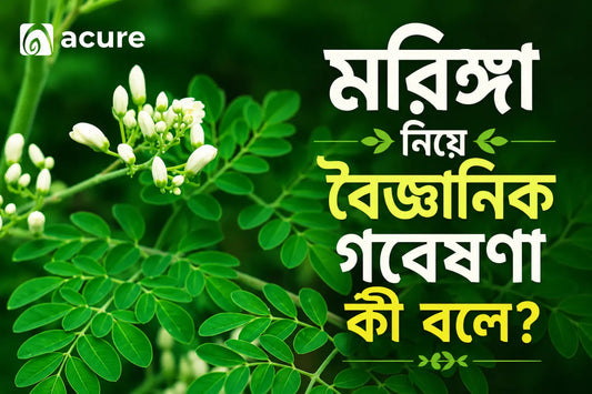 মরিঙ্গা নিয়ে বৈজ্ঞানিক গবেষণা কী বলে? | Moringa Scientific Research