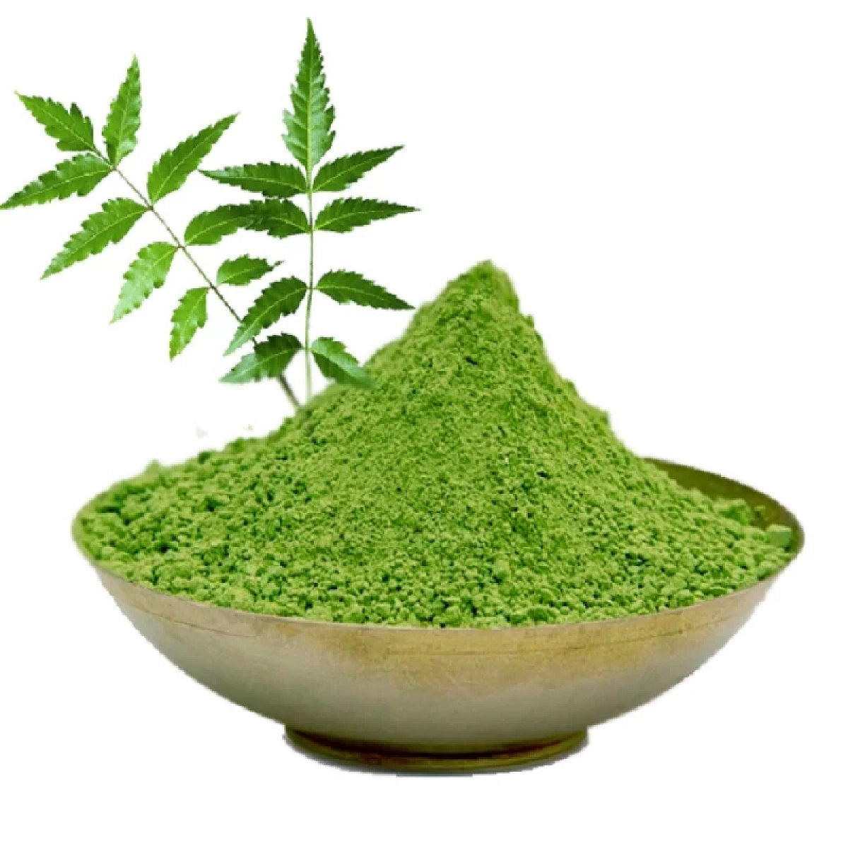 Acure Pure Neem Powder in Bowl with Fresh Neem Leaves - Organic Herbal Remedy | নিম পাতা গুঁড়া ও পাতা