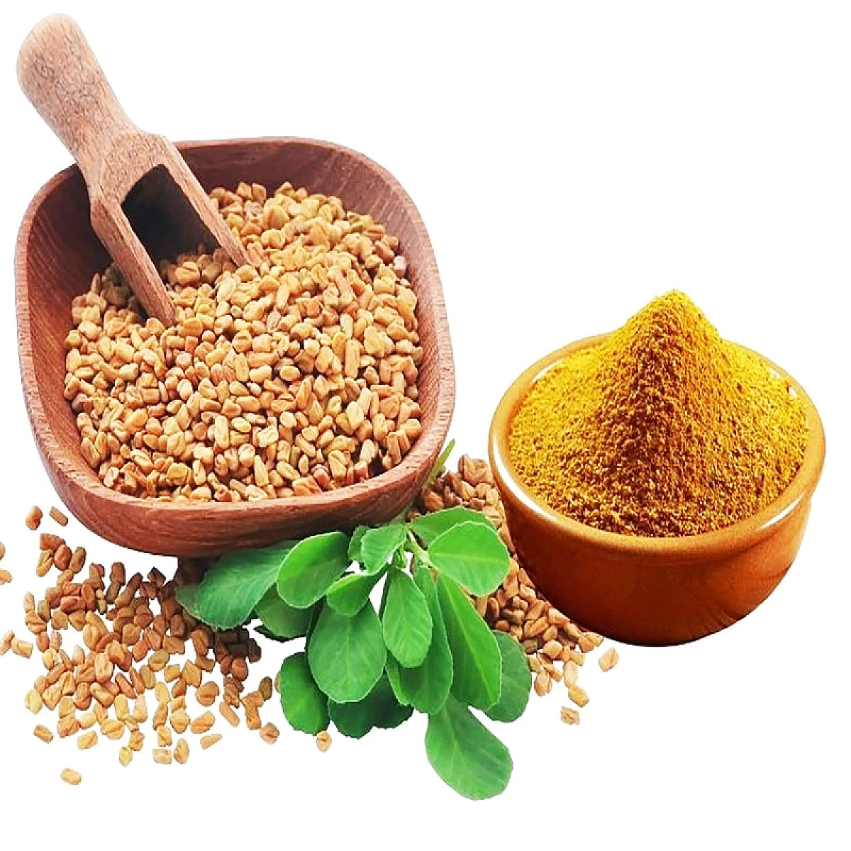 Acure Raw Fenugreek Seeds and Powder with Fresh Leaves - Ayurvedic Herb | মেথি দানা ও পাতা