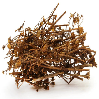 Acure Dried Chirata Plant and Stems - Natural Ayurvedic Bitter Herb | শুকনো চিরতা