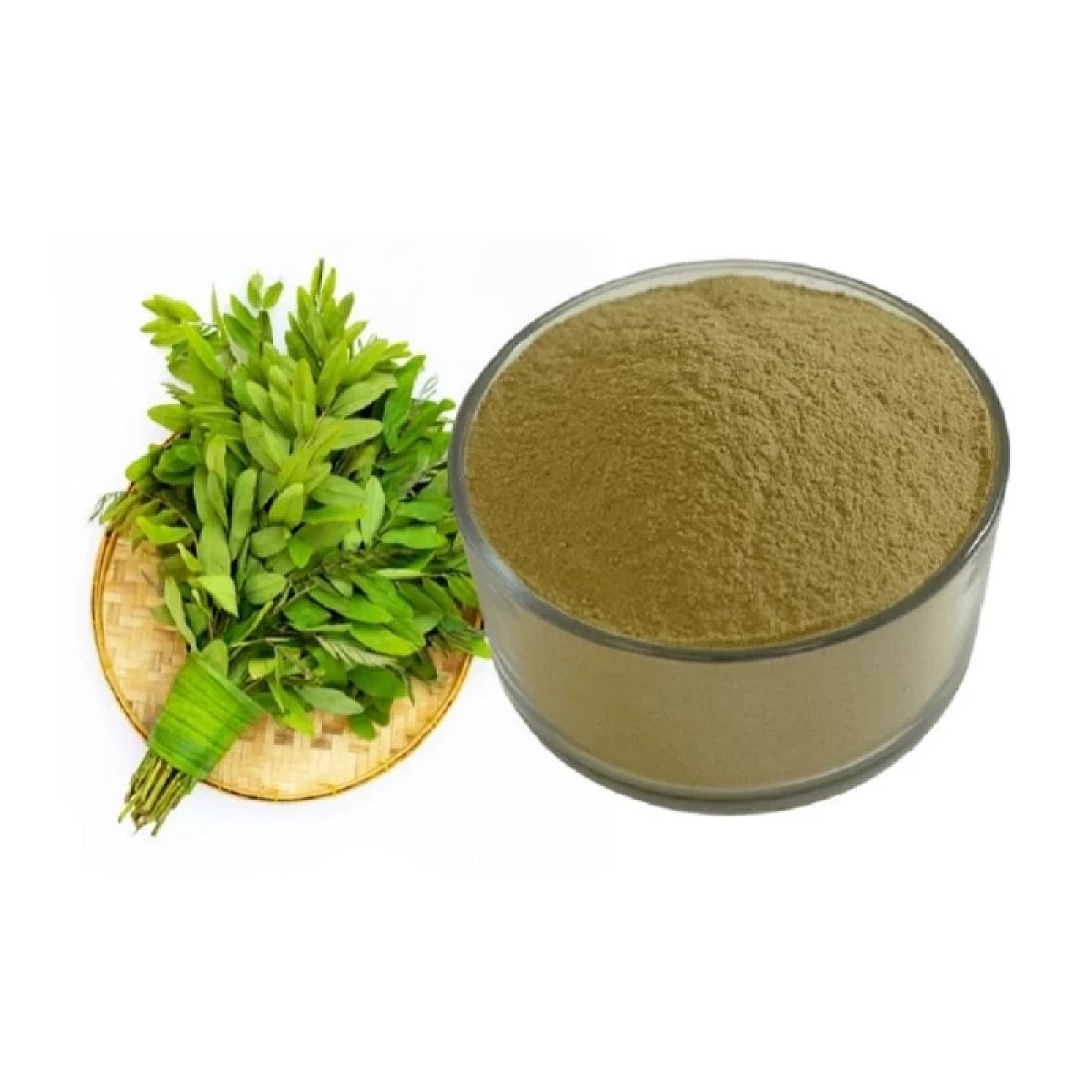 Acure Senna Leaf Powder in bowl for Digestive Cleanse - সোনাপাতা গুঁড়া Natural Laxative