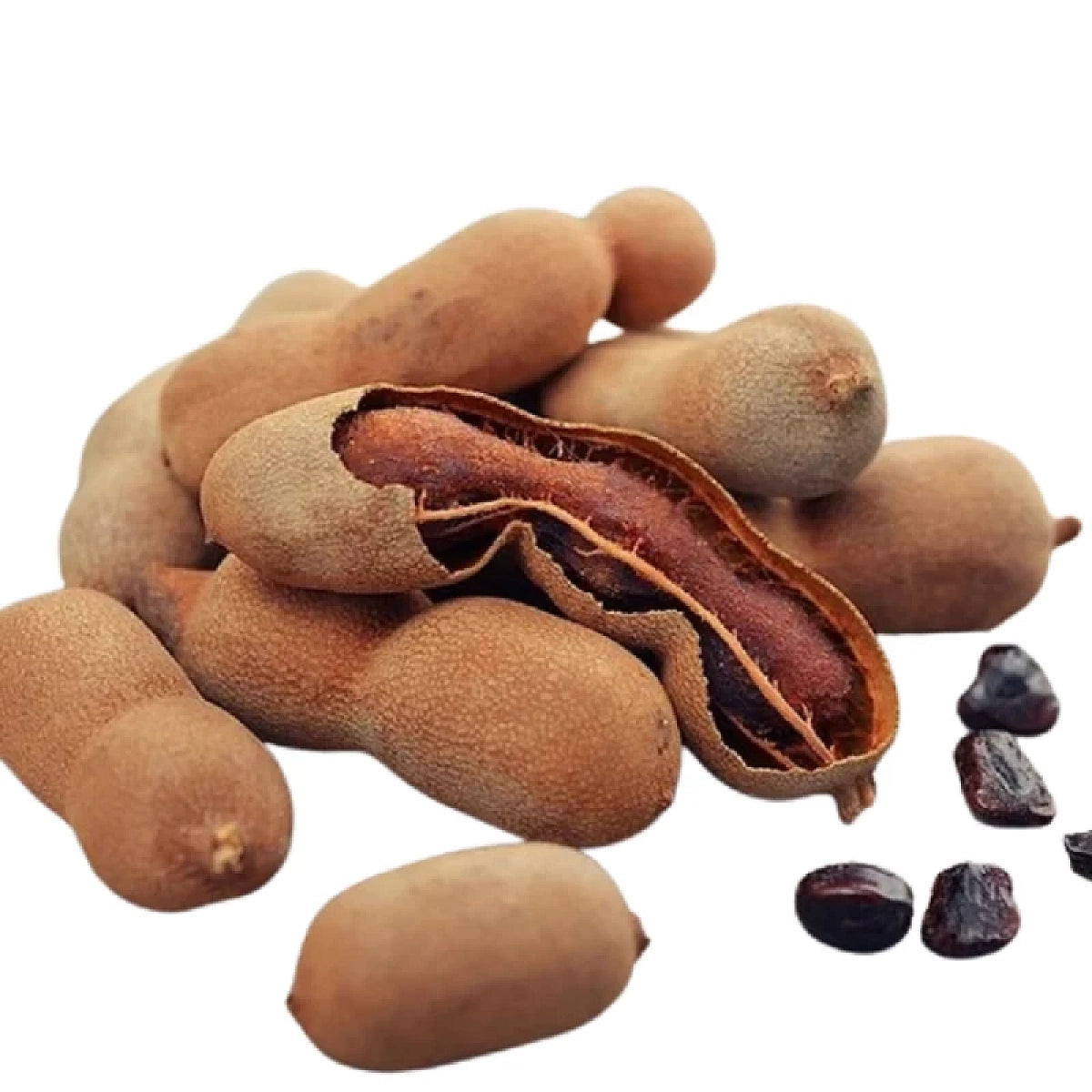 Raw Tamarind Pods and Seeds - Natural Source for Tamarind Seed Powder | কাঁচা তেঁতুল বীজ