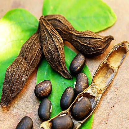 Acure Alkushi Powder -আলকুশি গুড়া