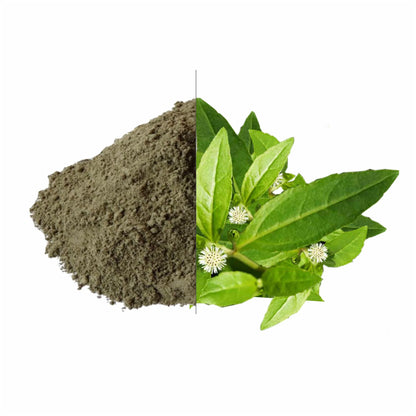 Acure Pure Bhringraj Powder Heap with Fresh Green Leaves - Natural Hair Treatment | ভ্রিংরাজ পাতা ও গুঁড়া