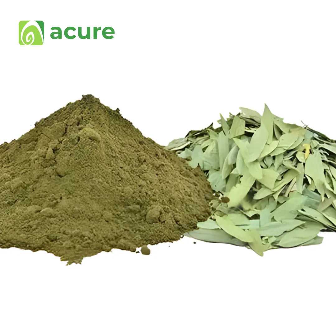 Organic Senna Powder সোনাপাতার গুঁড়া কিনুন - Acure Herbal Buy Online BD