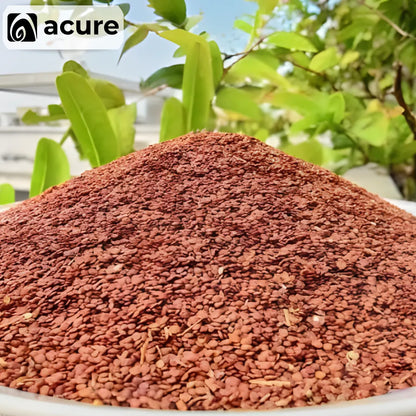 তালমাখনা দানা (Talmakhana dana) কিনুন - Acure থেকে Order করুন Online