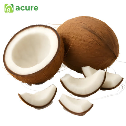 Fresh Coconut Dried Slice নারিকেল চিঁড়া - Acure Healthy Snacks Order Bangladesh
