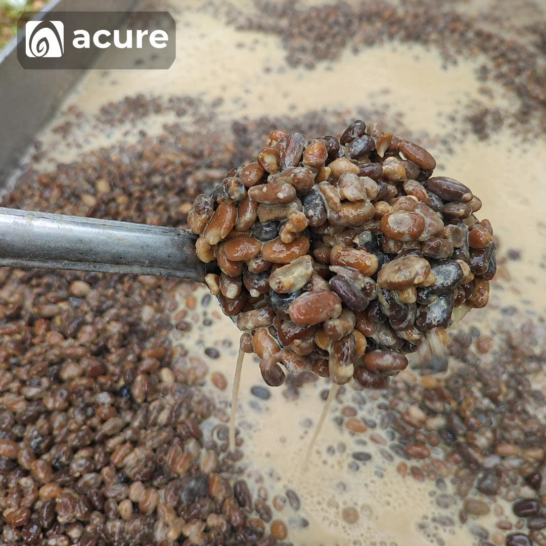 Acure আলকুশি বীজ দুধ দিয়ে শোধন প্রক্রিয়া - Pure Alkushi Processing Method