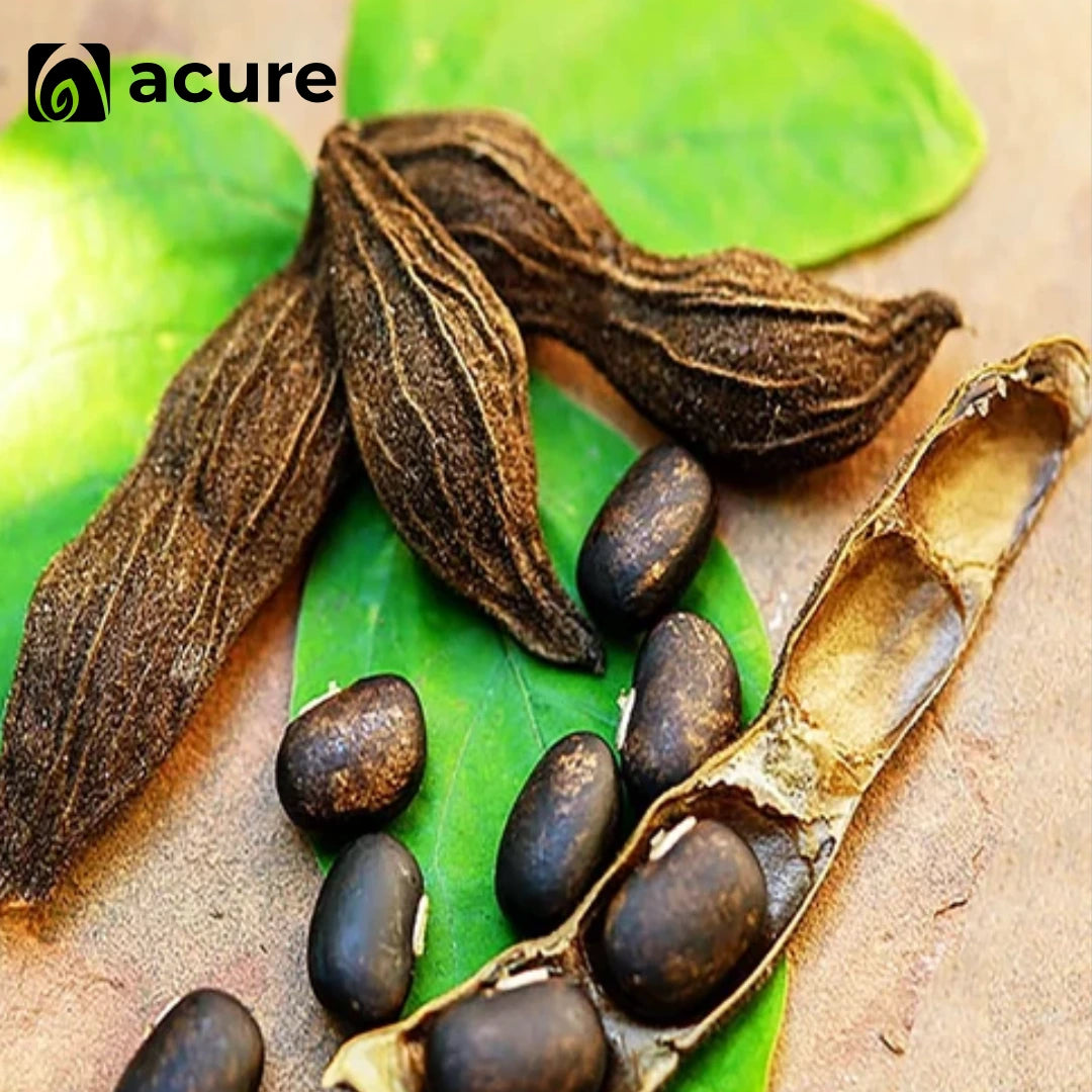 Natural আলকুশি বীজ Alkushi Seeds - Acure Herbal Supplement Order Online