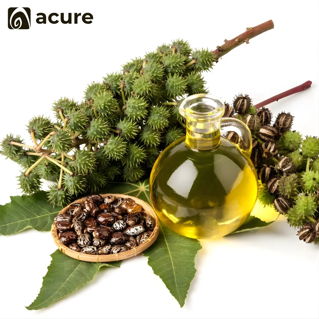 Organic Castor Seeds রেড়ির বীজ থেকে তৈরি Pure Oil - Acure Natural Product