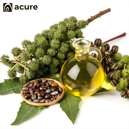 Organic Castor Seeds রেড়ির বীজ থেকে তৈরি Pure Oil - Acure Natural Product