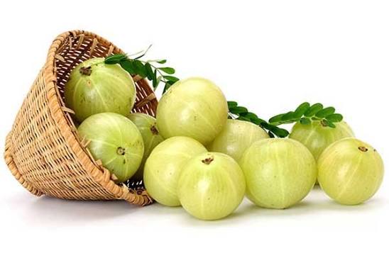 Fresh Raw Amloki Gooseberries Spilling from Basket - Organic Indian Gooseberry | তাজা আমলকি