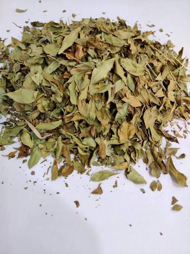Dried Henna Leaves and Stems Used for Acure Mehedi Powder - Raw Organic Material | শুকনো মেহেদি পাতা
