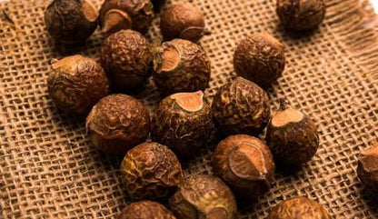 Dried Soapnuts Reetha Nuts on Jute Background - Raw Organic Herb | শুকনো রিঠা ফল