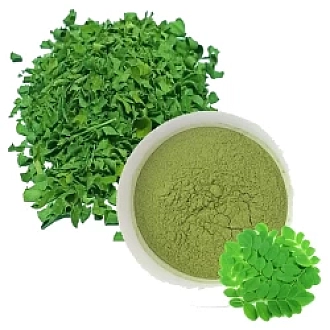 Acure Moringa Powder 80g trial pack with fresh sojina leaves in Bangladesh